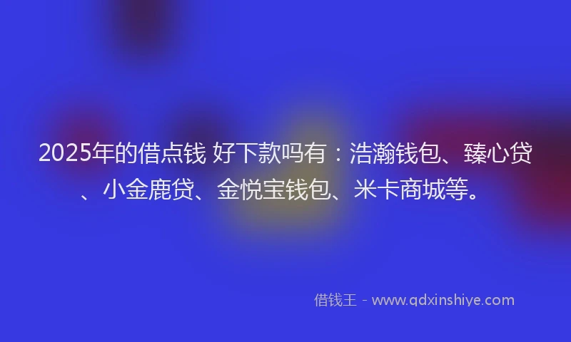2025年的借点钱 好下款吗有：浩瀚钱包、臻心贷、小金鹿贷、金悦宝钱包、米卡商城等。