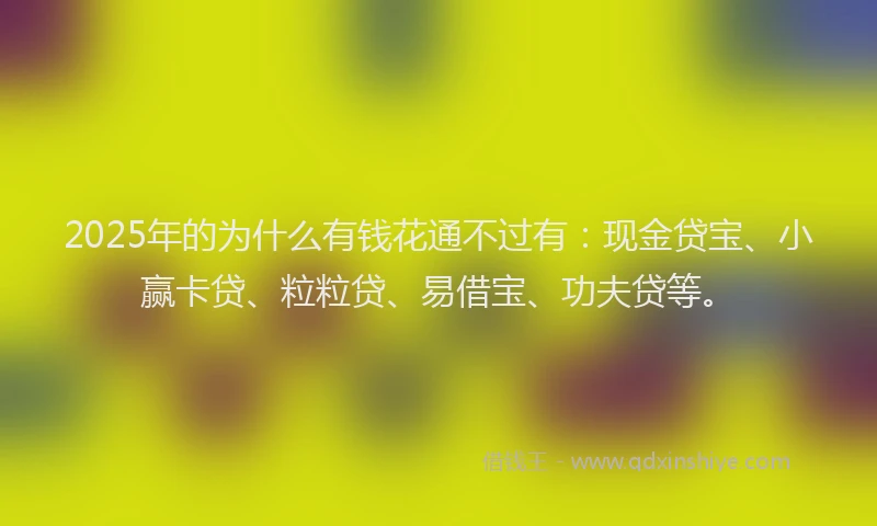 2025年的为什么有钱花通不过有：现金贷宝、小赢卡贷、粒粒贷、易借宝、功夫贷等。