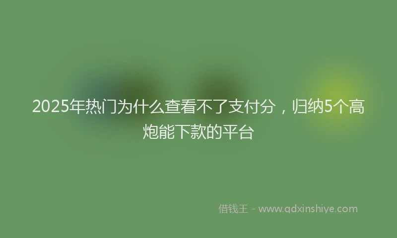 2025年热门为什么查看不了支付分，归纳5个高炮能下款的平台