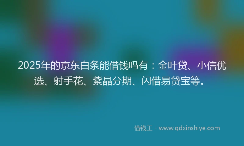 2025年的京东白条能借钱吗有：金叶贷、小信优选、射手花、紫晶分期、闪借易贷宝等。