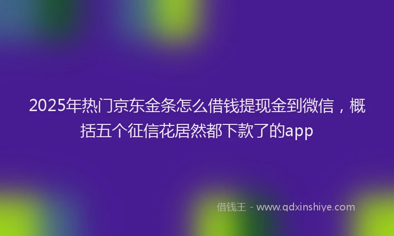 2025年热门京东金条怎么借钱提现金到微信，概括五个征信花居然都下款了的app