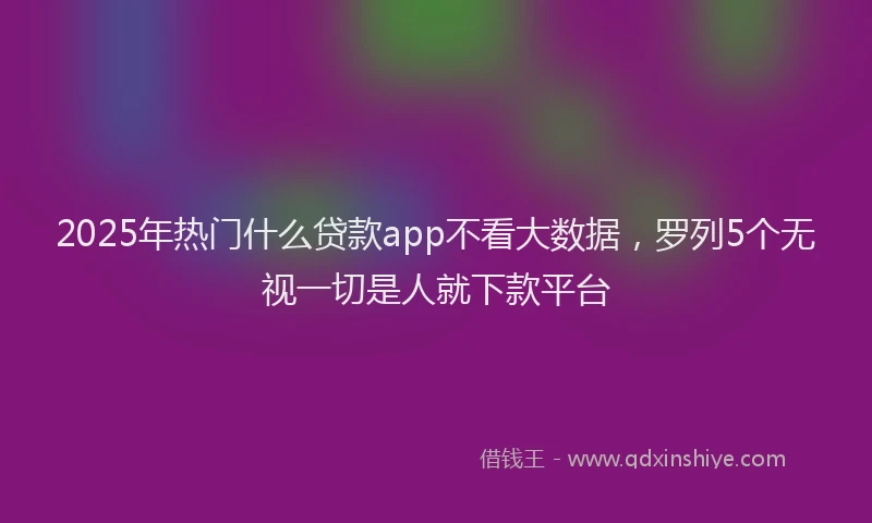 2025年热门什么贷款app不看大数据，罗列5个无视一切是人就下款平台