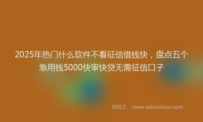 2025年热门什么软件不看征信借钱快，盘点五个急用钱5000快审快贷无需征信口子