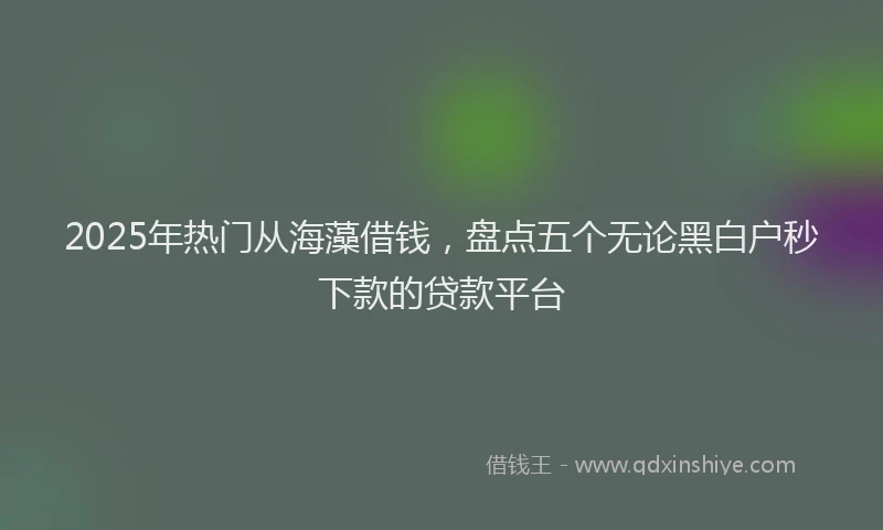 2025年热门从海藻借钱，盘点五个无论黑白户秒下款的贷款平台