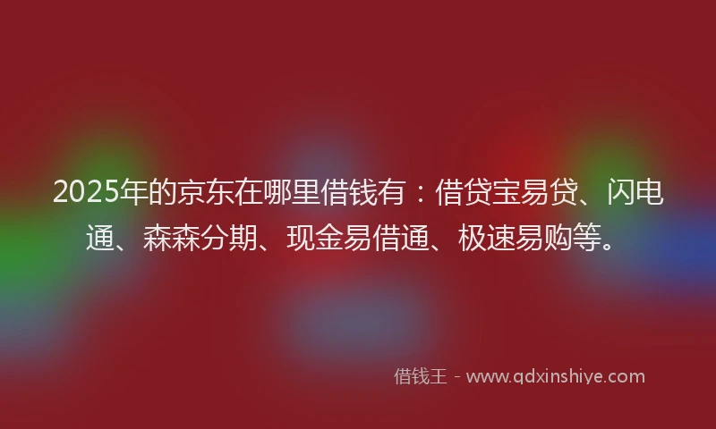 2025年的京东在哪里借钱有：借贷宝易贷、闪电通、森森分期、现金易借通、极速易购等。