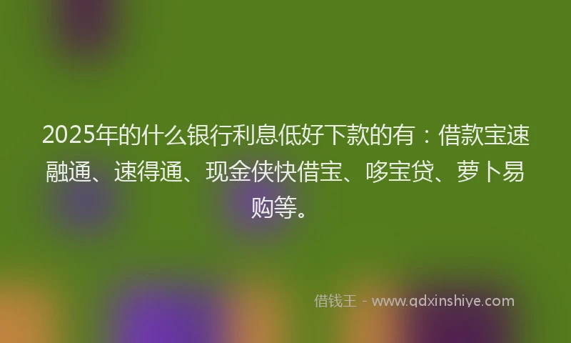 2025年的什么银行利息低好下款的有：借款宝速融通、速得通、现金侠快借宝、哆宝贷、萝卜易购等。