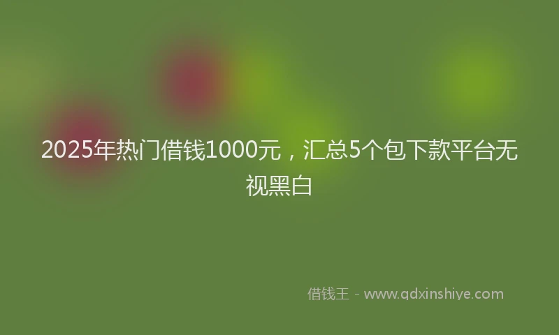 2025年热门借钱1000元，汇总5个包下款平台无视黑白