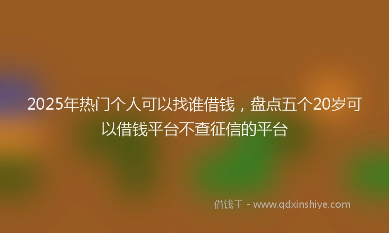 2025年热门个人可以找谁借钱，盘点五个20岁可以借钱平台不查征信的平台