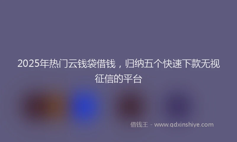2025年热门云钱袋借钱，归纳五个快速下款无视征信的平台