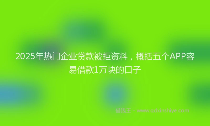 2025年热门企业贷款被拒资料，概括五个APP容易借款1万块的口子
