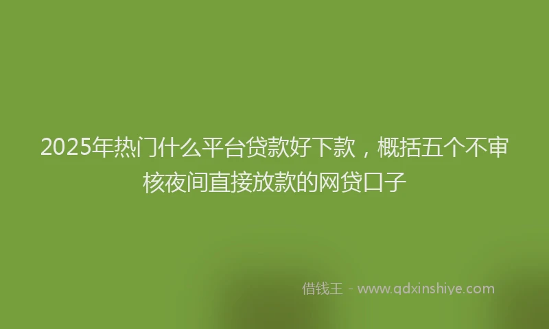 2025年热门什么平台贷款好下款，概括五个不审核夜间直接放款的网贷口子