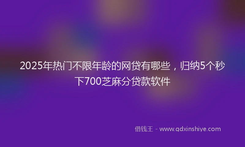 2025年热门不限年龄的网贷有哪些，归纳5个秒下700芝麻分贷款软件
