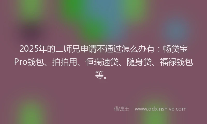 2025年的二师兄申请不通过怎么办有：畅贷宝Pro钱包、拍拍用、恒瑞速贷、随身贷、福禄钱包等。