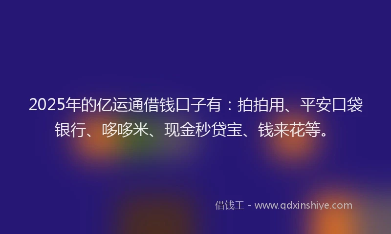 2025年的亿运通借钱口子有：拍拍用、平安口袋银行、哆哆米、现金秒贷宝、钱来花等。