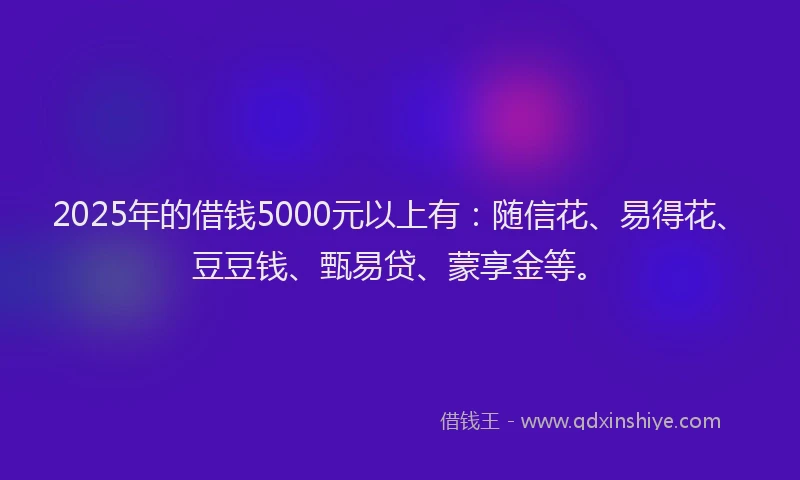 2025年的借钱5000元以上有：随信花、易得花、豆豆钱、甄易贷、蒙享金等。