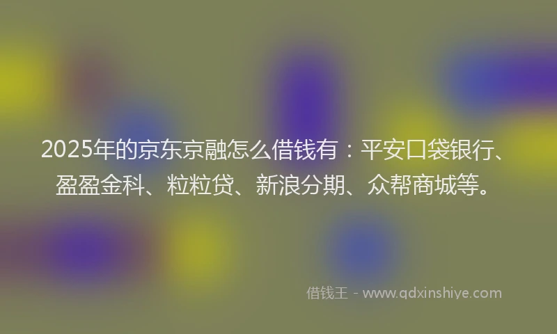 2025年的京东京融怎么借钱有：平安口袋银行、盈盈金科、粒粒贷、新浪分期、众帮商城等。