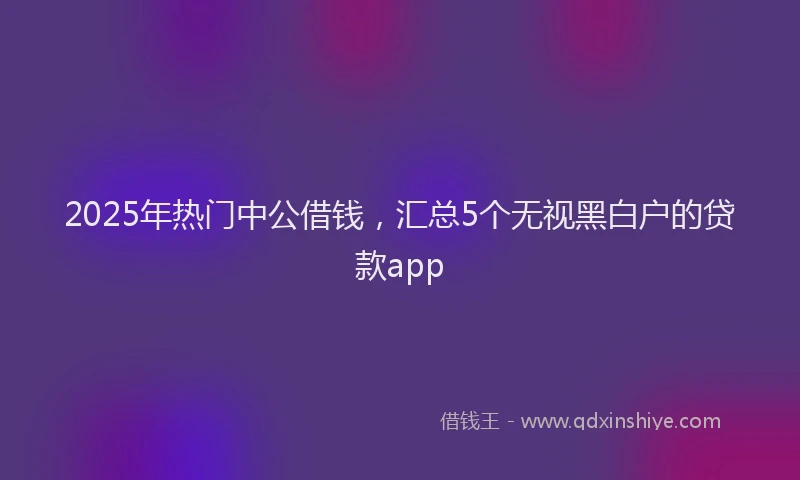 2025年热门中公借钱，汇总5个无视黑白户的贷款app