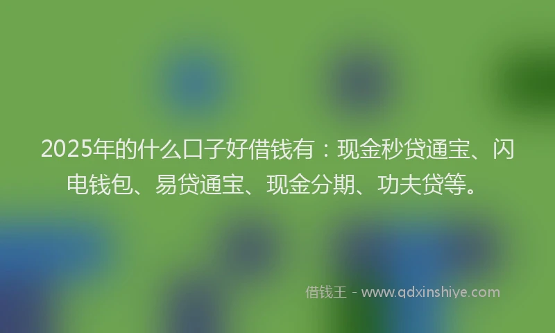 2025年的什么口子好借钱有：现金秒贷通宝、闪电钱包、易贷通宝、现金分期、功夫贷等。