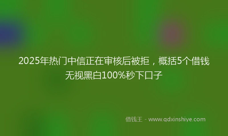 2025年热门中信正在审核后被拒，概括5个借钱无视黑白100%秒下口子