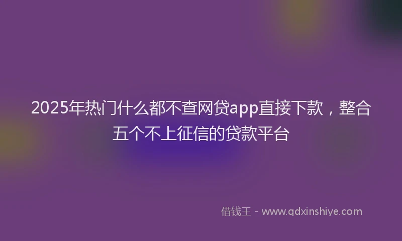 2025年热门什么都不查网贷app直接下款，整合五个不上征信的贷款平台
