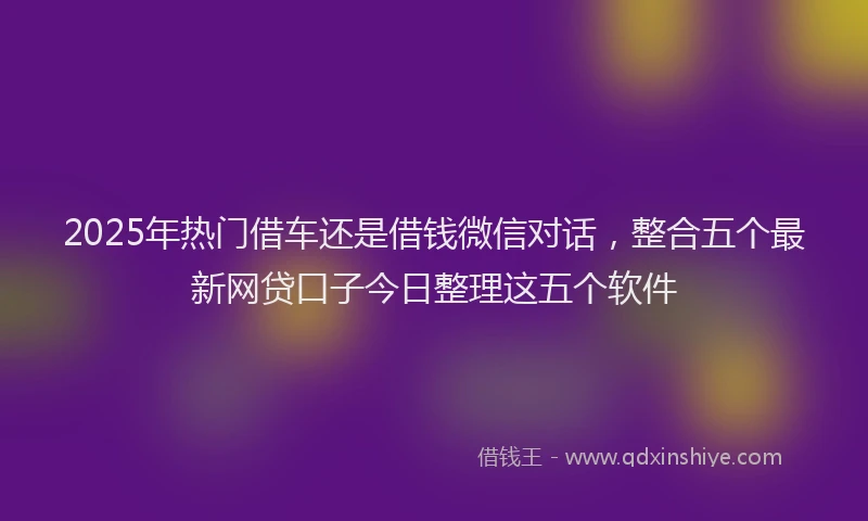 2025年热门借车还是借钱微信对话，整合五个最新网贷口子今日整理这五个软件