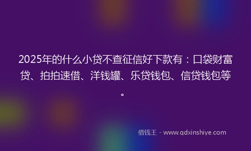 2025年的什么小贷不查征信好下款有：口袋财富贷、拍拍速借、洋钱罐、乐贷钱包、信贷钱包等。