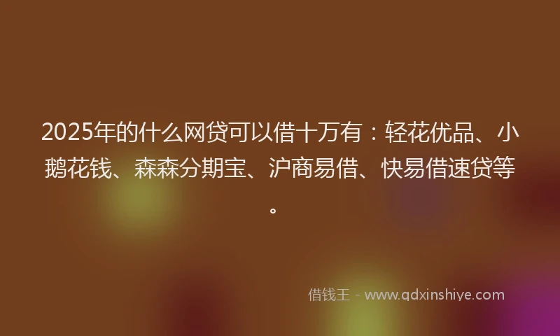 2025年的什么网贷可以借十万有：轻花优品、小鹅花钱、森森分期宝、沪商易借、快易借速贷等。