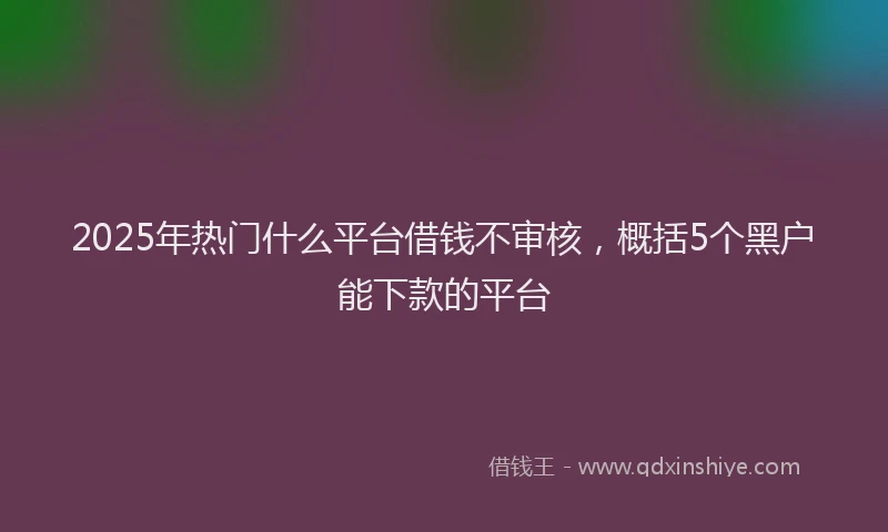 2025年热门什么平台借钱不审核，概括5个黑户能下款的平台