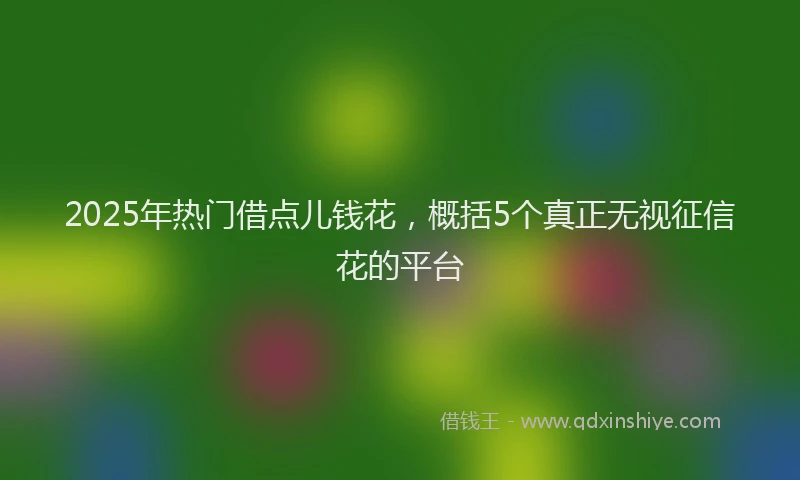 2025年热门借点儿钱花，概括5个真正无视征信花的平台