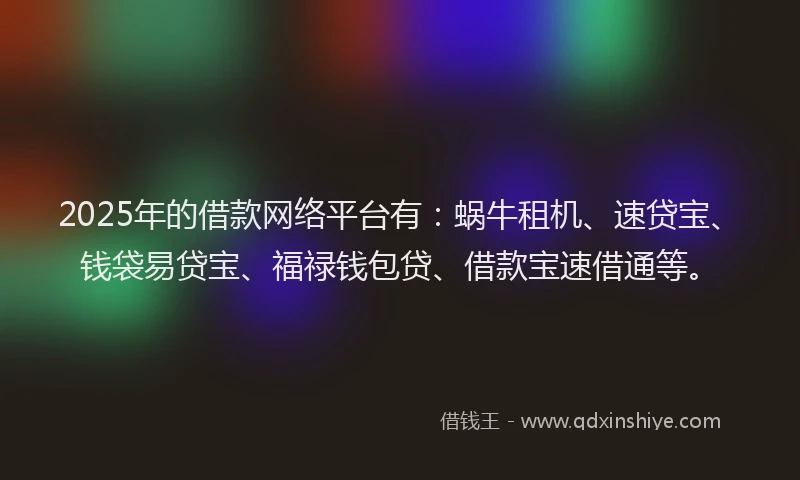 2025年的借款网络平台有：蜗牛租机、速贷宝、钱袋易贷宝、福禄钱包贷、借款宝速借通等。