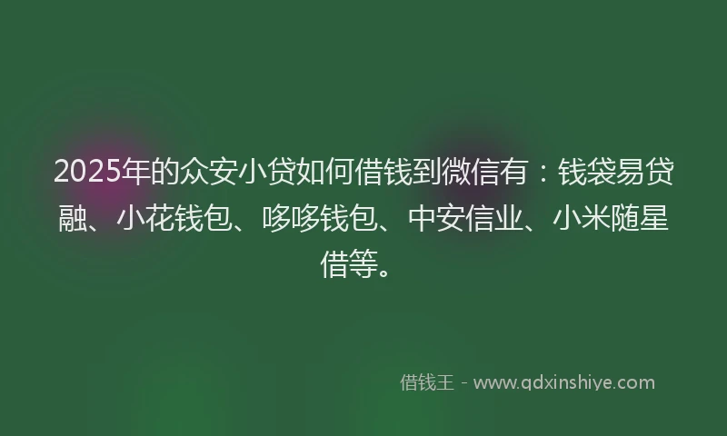 2025年的众安小贷如何借钱到微信有：钱袋易贷融、小花钱包、哆哆钱包、中安信业、小米随星借等。
