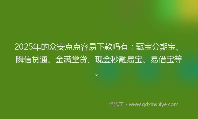 2025年的众安点点容易下款吗有：甄宝分期宝、瞬信贷通、金满堂贷、现金秒融易宝、易借宝等。
