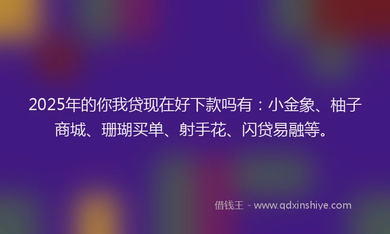 2025年的你我贷现在好下款吗有：小金象、柚子商城、珊瑚买单、射手花、闪贷易融等。