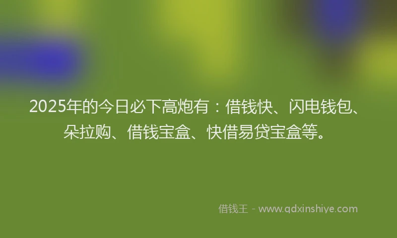 2025年的今日必下高炮有：借钱快、闪电钱包、朵拉购、借钱宝盒、快借易贷宝盒等。