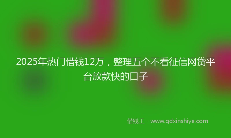 2025年热门借钱12万，整理五个不看征信网贷平台放款快的口子