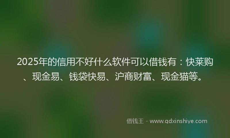 2025年的信用不好什么软件可以借钱有：快莱购、现金易、钱袋快易、沪商财富、现金猫等。
