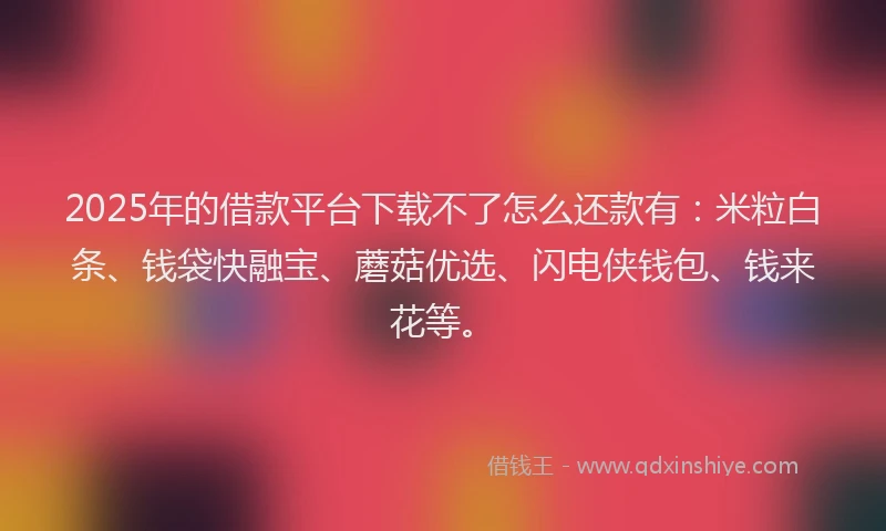 2025年的借款平台下载不了怎么还款有：米粒白条、钱袋快融宝、蘑菇优选、闪电侠钱包、钱来花等。