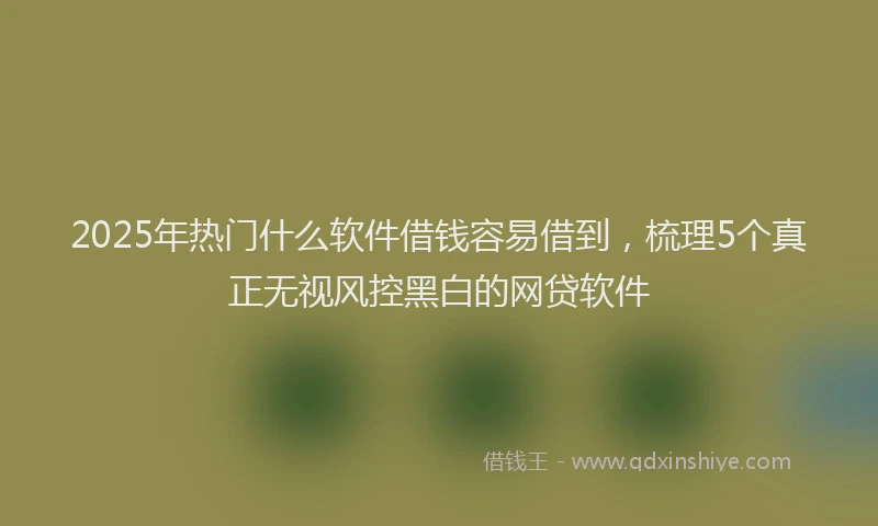2025年热门什么软件借钱容易借到，梳理5个真正无视风控黑白的网贷软件