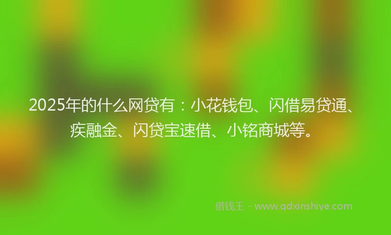2025年的什么网贷有：小花钱包、闪借易贷通、疾融金、闪贷宝速借、小铭商城等。