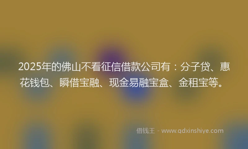 2025年的佛山不看征信借款公司有：分子贷、惠花钱包、瞬借宝融、现金易融宝盒、金租宝等。