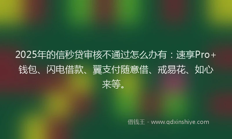 2025年的信秒贷审核不通过怎么办有：速享Pro+钱包、闪电借款、翼支付随意借、戒易花、如心来等。