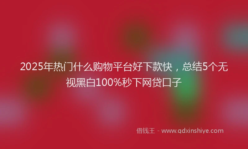 2025年热门什么购物平台好下款快，总结5个无视黑白100%秒下网贷口子
