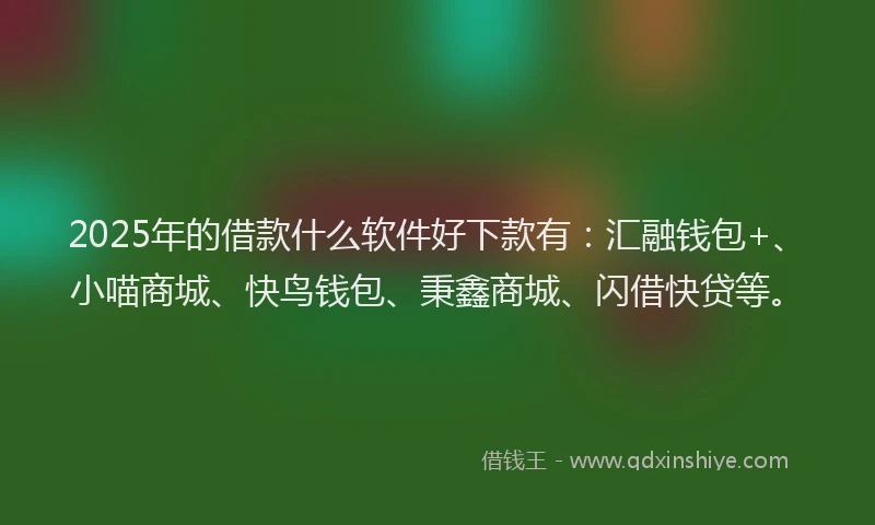 2025年的借款什么软件好下款有：汇融钱包+、小喵商城、快鸟钱包、秉鑫商城、闪借快贷等。