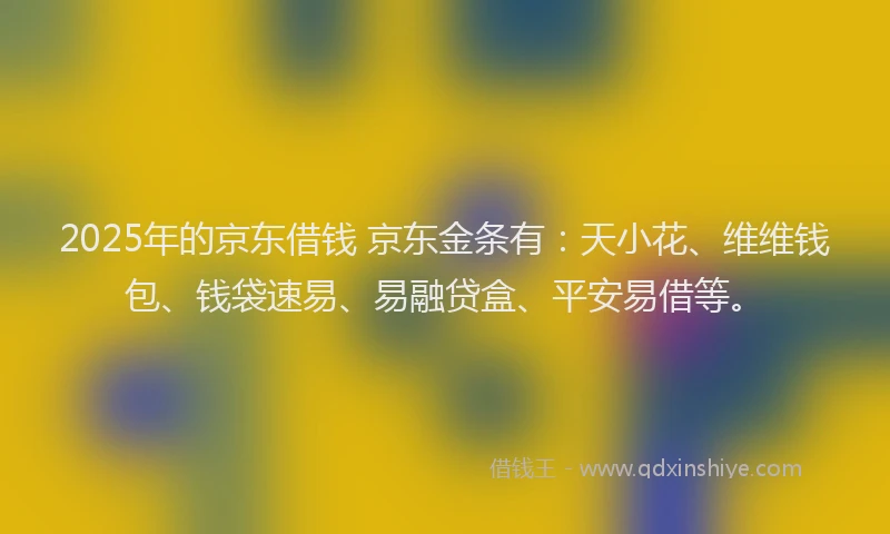 2025年的京东借钱 京东金条有：天小花、维维钱包、钱袋速易、易融贷盒、平安易借等。