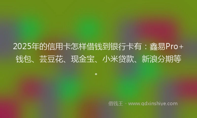 2025年的信用卡怎样借钱到银行卡有：鑫易Pro+钱包、芸豆花、现金宝、小米贷款、新浪分期等。