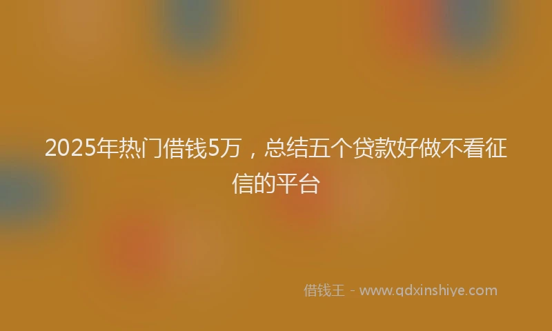 2025年热门借钱5万，总结五个贷款好做不看征信的平台