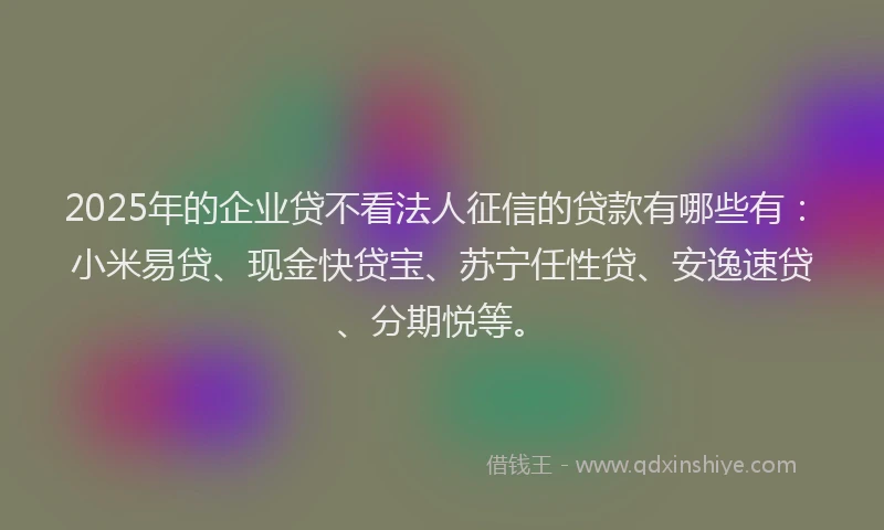 2025年的企业贷不看法人征信的贷款有哪些有：小米易贷、现金快贷宝、苏宁任性贷、安逸速贷、分期悦等。