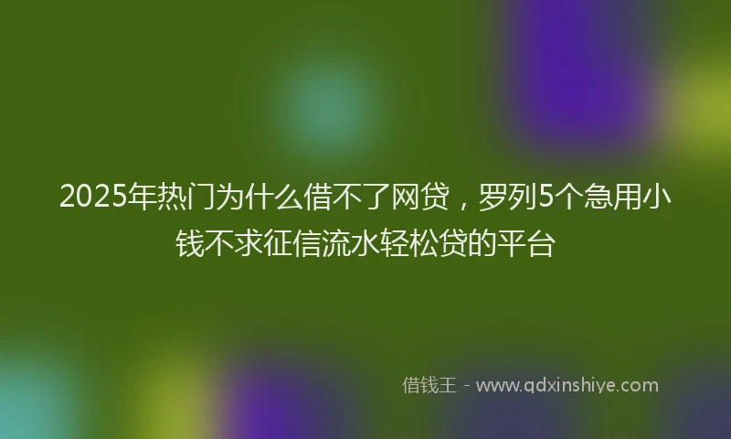 2025年热门为什么借不了网贷，罗列5个急用小钱不求征信流水轻松贷的平台