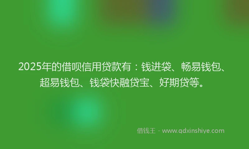 2025年的借呗信用贷款有：钱进袋、畅易钱包、超易钱包、钱袋快融贷宝、好期贷等。