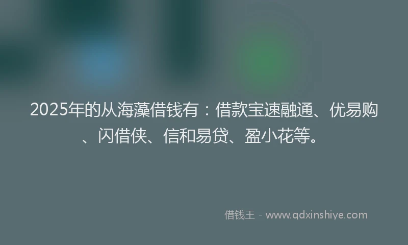 2025年的从海藻借钱有：借款宝速融通、优易购、闪借侠、信和易贷、盈小花等。